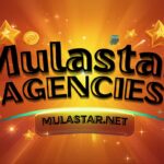 Mulastar Agencies