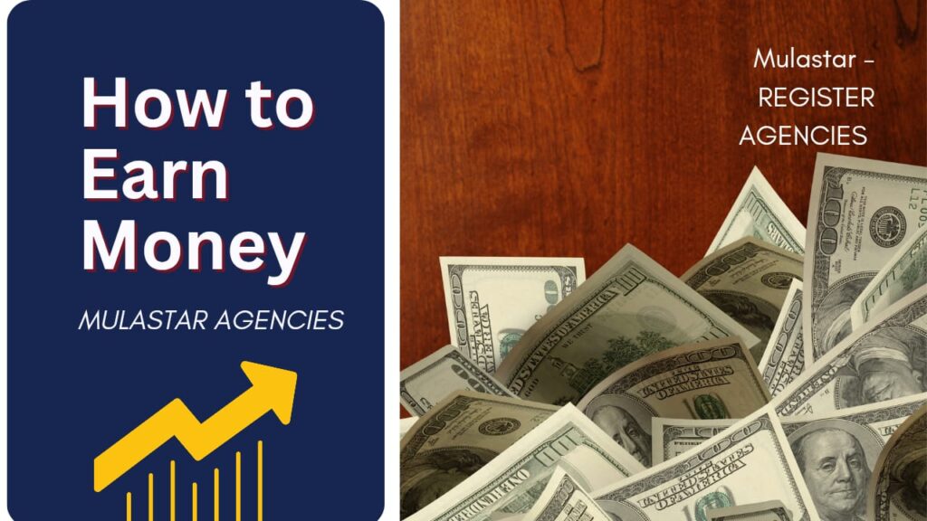 Mulastar Agencies – Cameroon Work From Home Platform