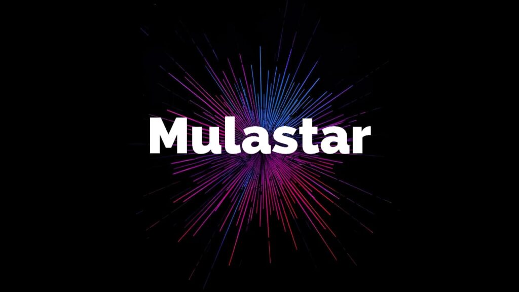 Login-Mulastar