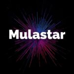 Login-Mulastar